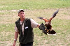 Killikus&reg; Fotographie